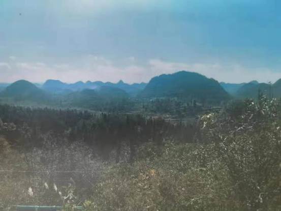 57d9644d47831bc8998a470b4b44434