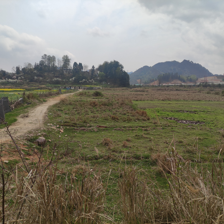 1647421696762695.png 圖片關鍵詞