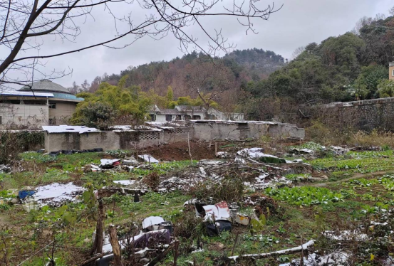 1693807719947088.png image.png