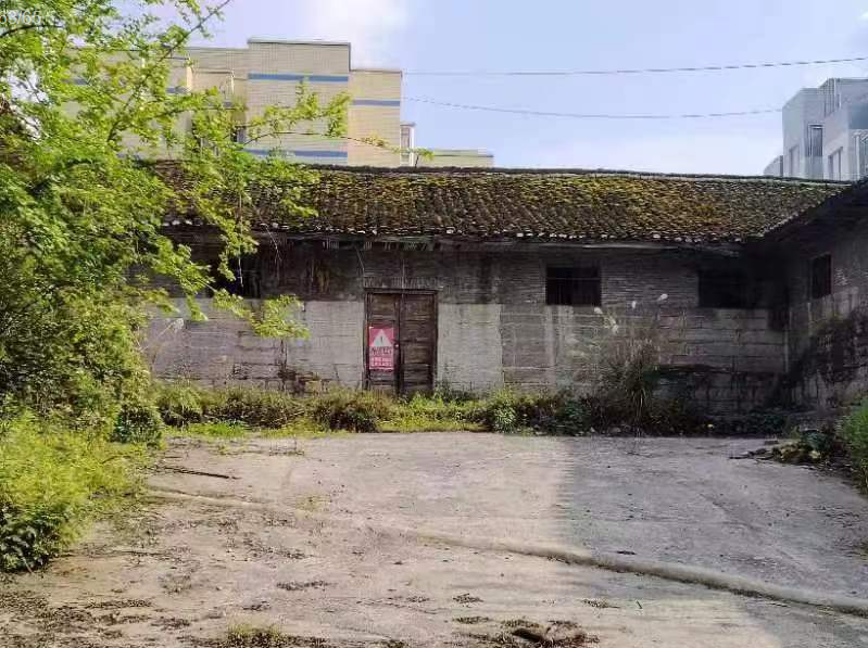 1693809884348080.png image.png