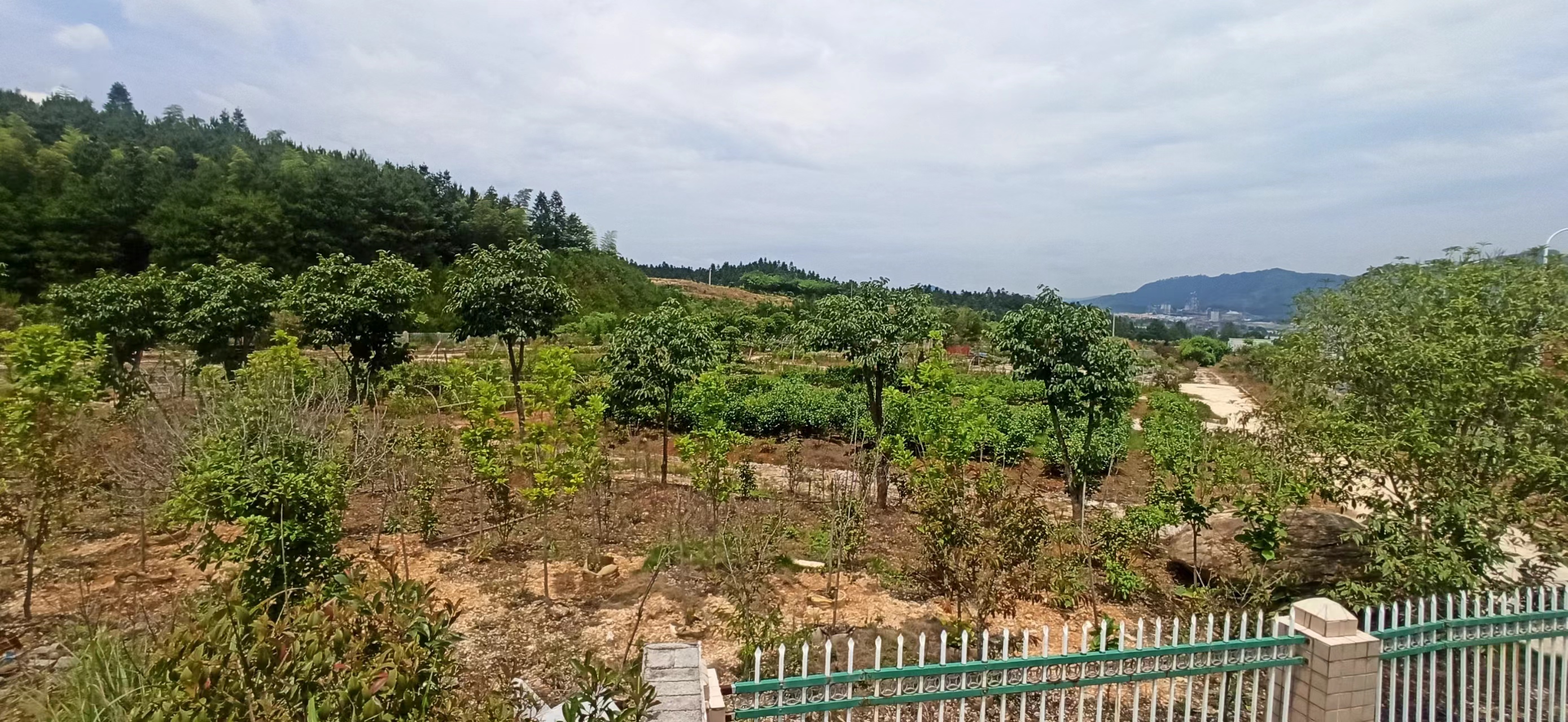 1693816699837187.jpg 附件11.jpg