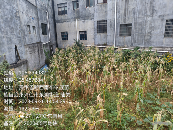 1698717976255018.png image.png