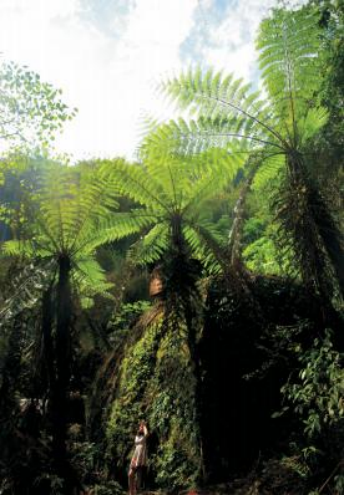 1719366260729986.png image.png