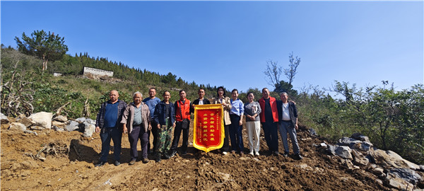 1730356913540776.jpg 3.jpg