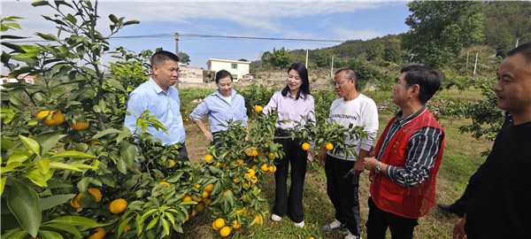 1730356951458106.jpg 5.jpg