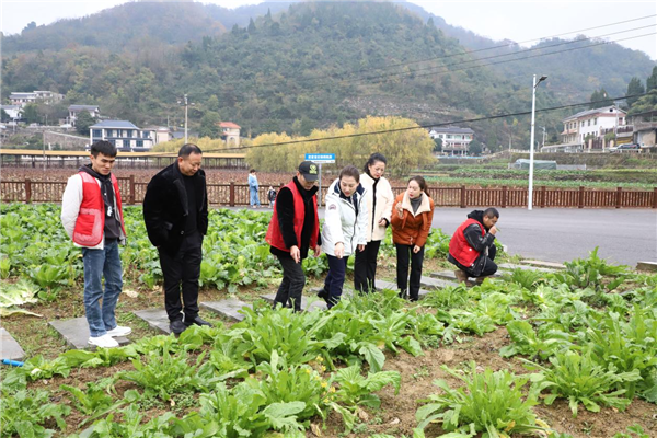 1735527772885191.png 圖片關(guān)鍵詞