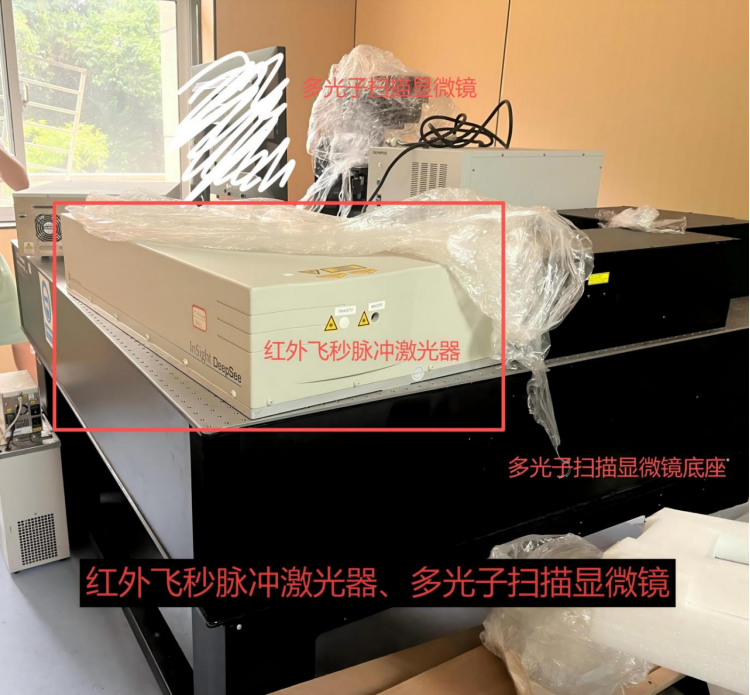 1762756815324689.png image.png