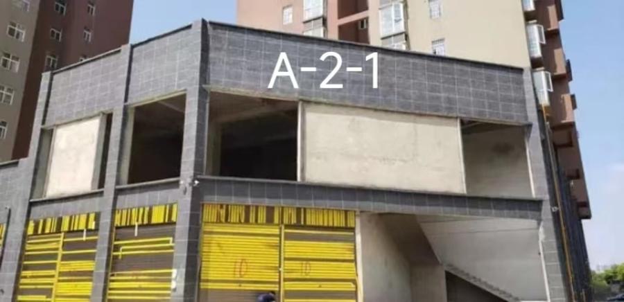 1772085629988081.jpg 圖片關鍵詞