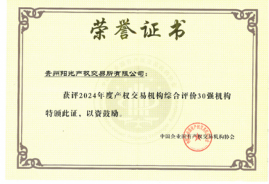 喜訊！貴州陽(yáng)光產(chǎn)權(quán)交易所獲得2024年度全國(guó)產(chǎn)權(quán)交易機(jī)構(gòu)2項(xiàng)30強(qiáng)榮譽(yù)