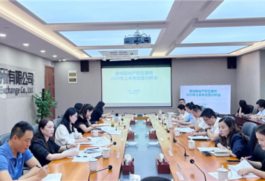 貴州陽光產(chǎn)權(quán)交易所召開2025年上半年經(jīng)營分析會
